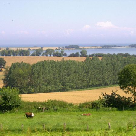 Ferienwohnungen Und Ferienhaus Im Nixenweg Hohwacht Dış mekan fotoğraf