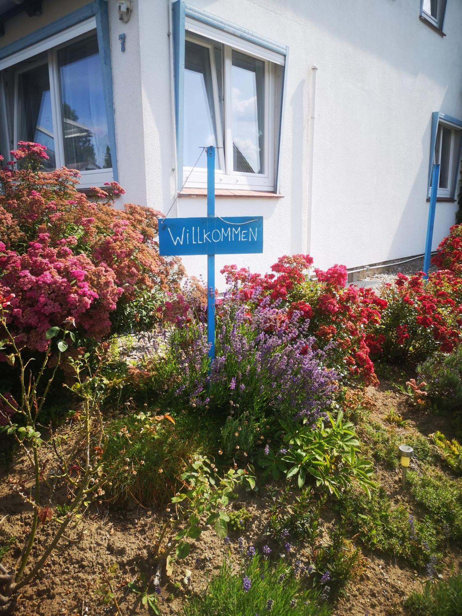 Ferienwohnungen Und Ferienhaus Im Nixenweg Hohwacht Dış mekan fotoğraf