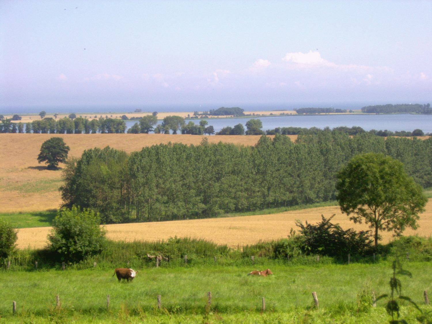 Ferienwohnungen Und Ferienhaus Im Nixenweg Hohwacht Dış mekan fotoğraf